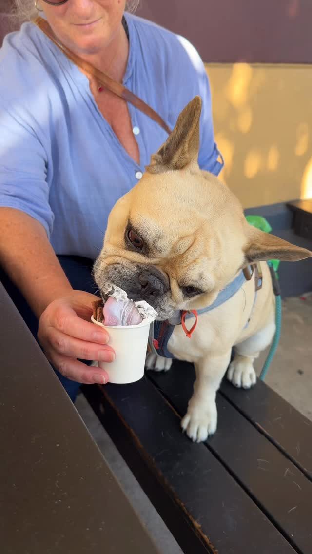 Instagram post from southbeachhotelfreo. This post is in position 7.