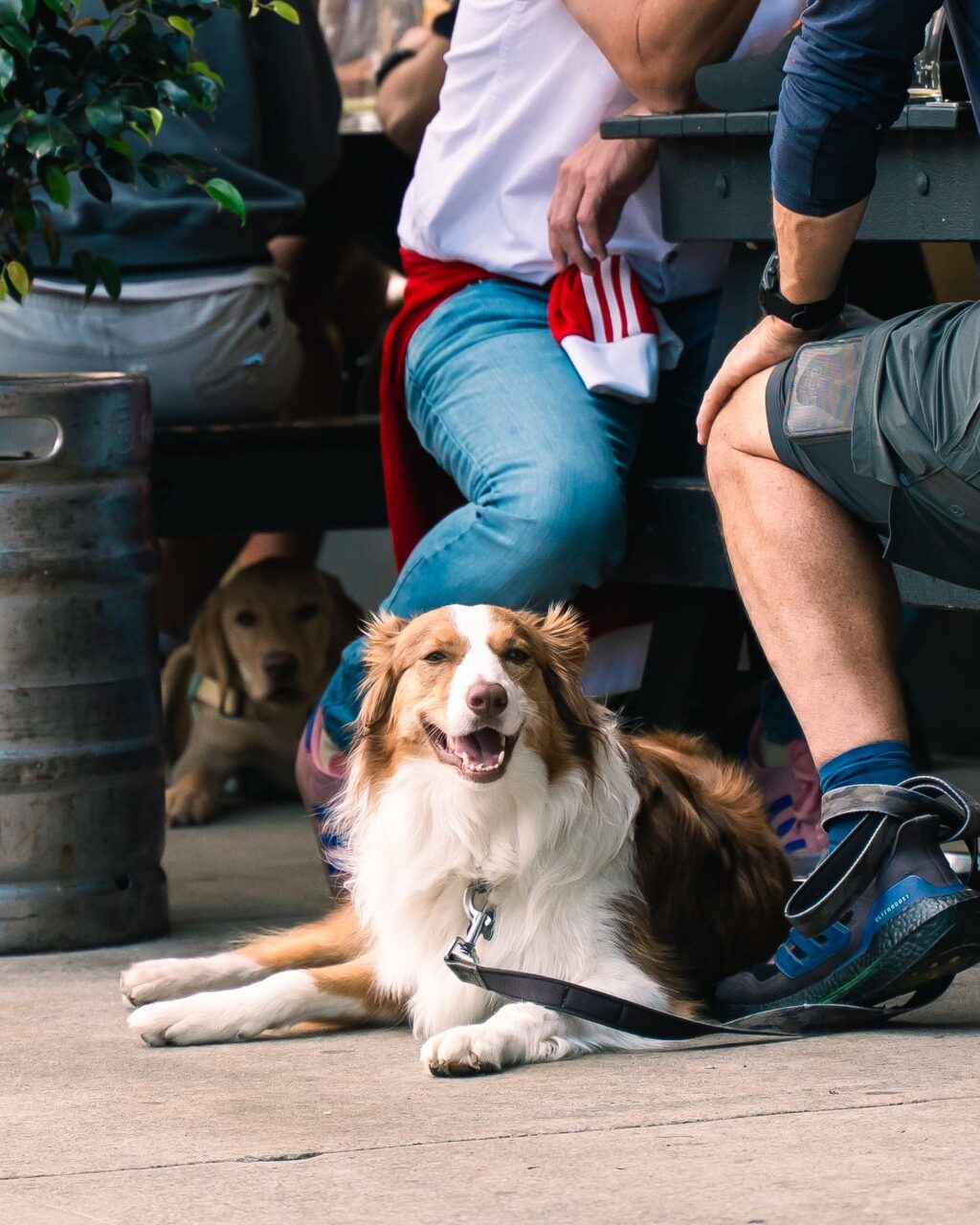 Instagram post from southbeachhotelfreo. This post is in position 1.