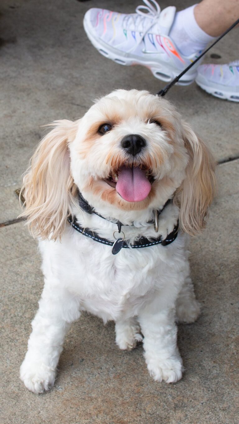 Instagram post from southbeachhotelfreo. This post is in position 8.