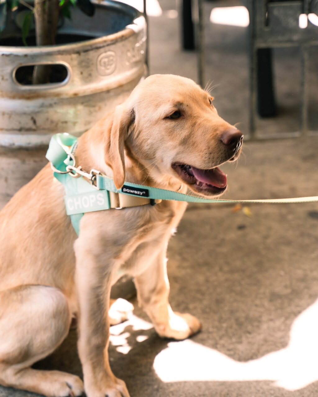 Instagram post from southbeachhotelfreo. This post is in position 0.