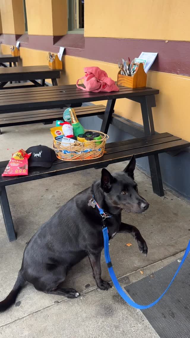 Instagram post from southbeachhotelfreo. This post is in position 1.